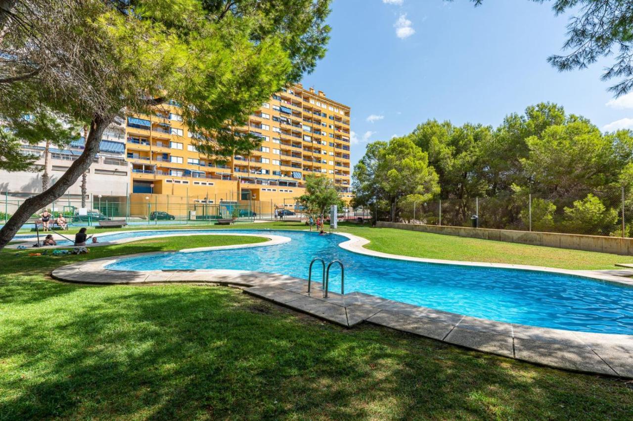 Apartament Summer Leilighet Campoamor Eksteriør bilde