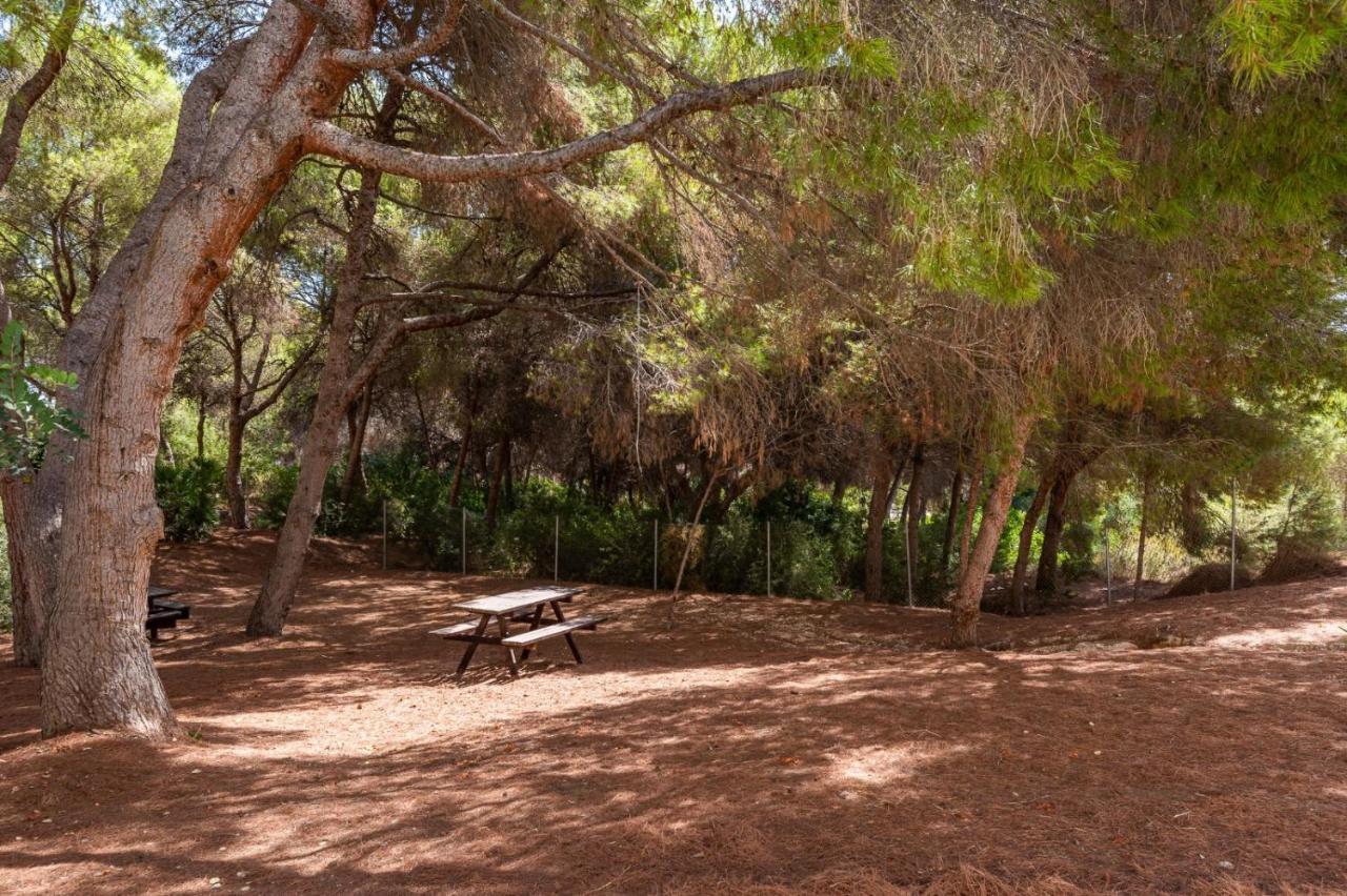 Apartament Summer Leilighet Campoamor Eksteriør bilde